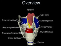 Epiglotis Presentation